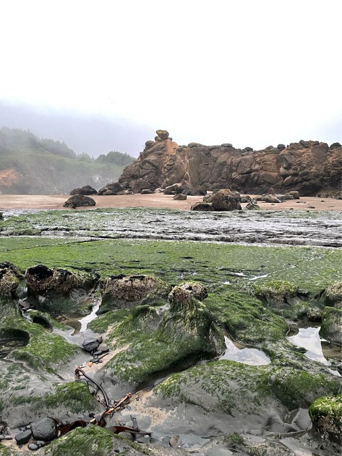 Coastal Oregon-Just Before The Sun Went Down And The Fog Was Rolling In