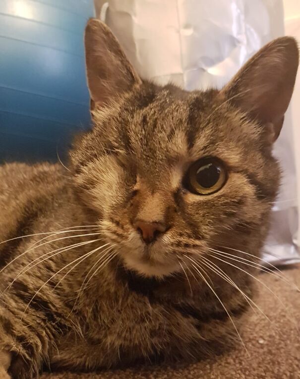 Bombi, The 17 Y/O Pirate