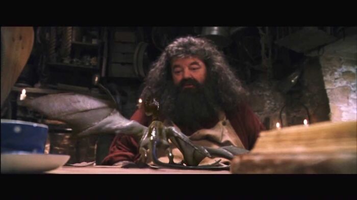 Hagrid And Norbert