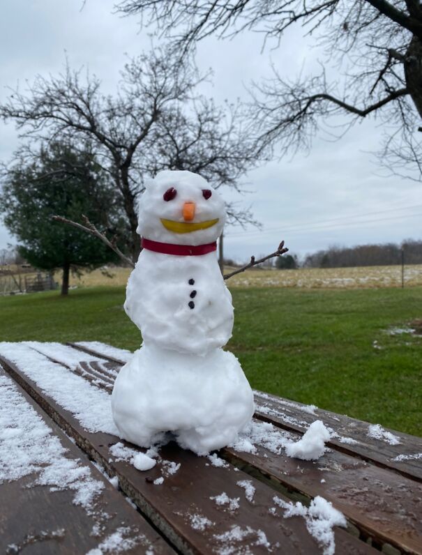 There Was Just Enough Snow To Make This Snowman