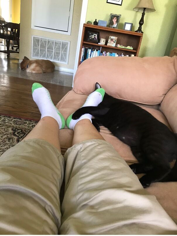 We Are All Taking A Nap