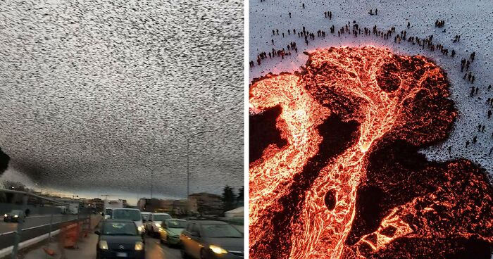 This Twitter Page Shares Interesting Facts About The World, And Here Are 45 That Might Surprise You