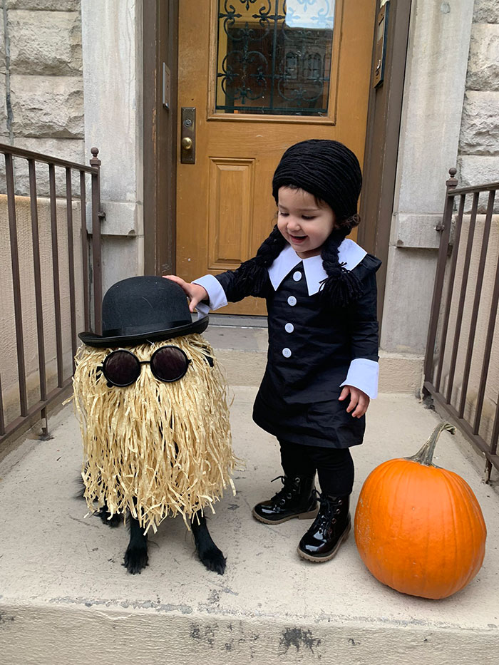 My Dog, Cousin It, And My Daughter, Wednesday Addams