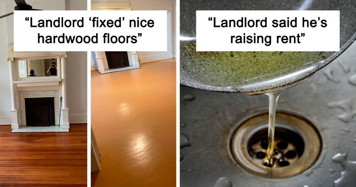 50 Times Landlords Were So Terrible, They Got Shamed In This Online Community (New Pics)