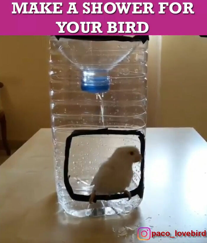 How To Make A Shower For A Small Bird