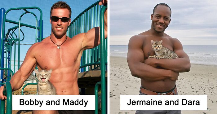 We’ve Been Creating Calendars “The Kittendales” For 16 Years To Raise Money For A Cat Shelter In Hull, MA (22 Pics)