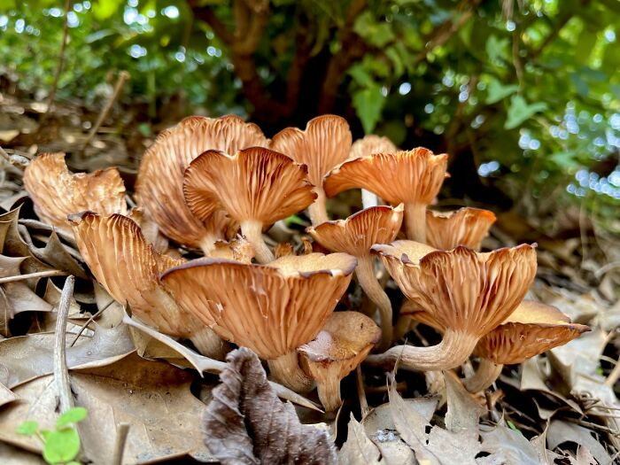 Curbside In Washington, Dc