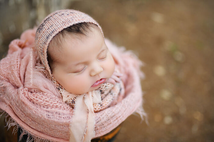 I Held A Newborn Photoshoot On A Family Farm With The Farm Animals, And Here Are The Results (6 Pics)