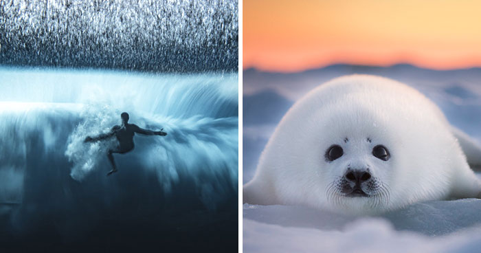 The Ocean Photography Awards Just Announced Their Finalists For 2022, And Here Are The Best 40 Photos