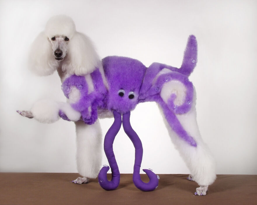 Alf, Mickey And The Other Dogs (2023) Alf, Mickey And The Other Dogs (2023)