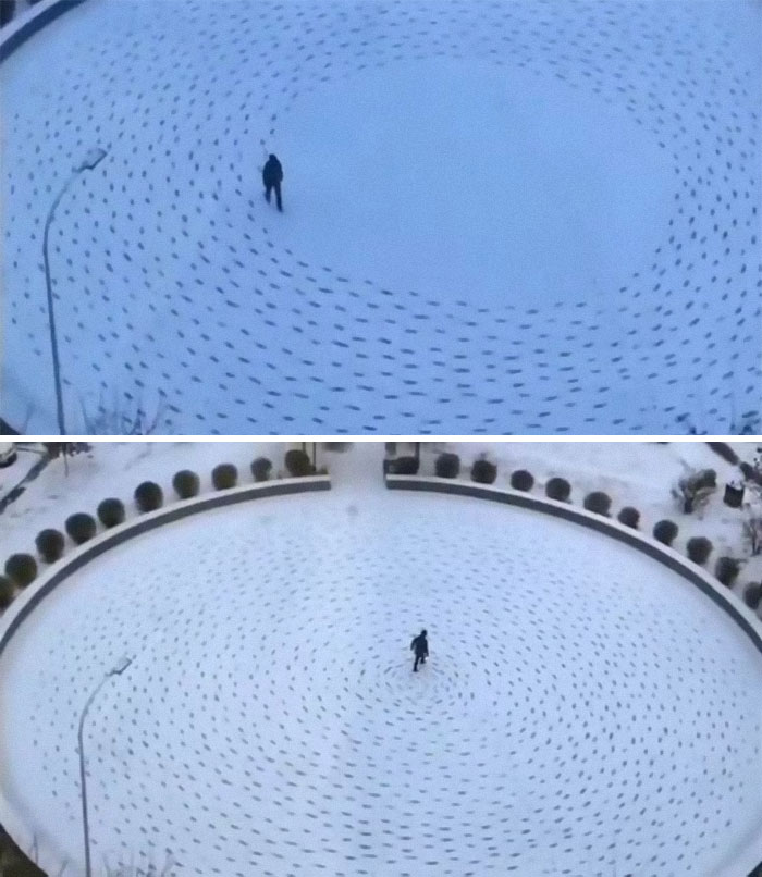 Bored Man Walks In Circles On The Snow