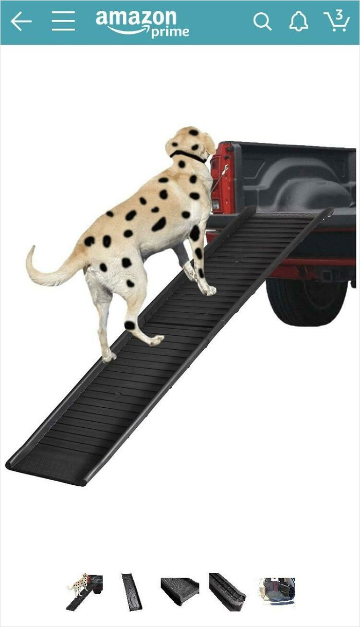 Was Looking At Dog Ramps For My Aging Lab On Amazon And The Example Pic Is Clearly A Lab With Spots Added In Ms Paint