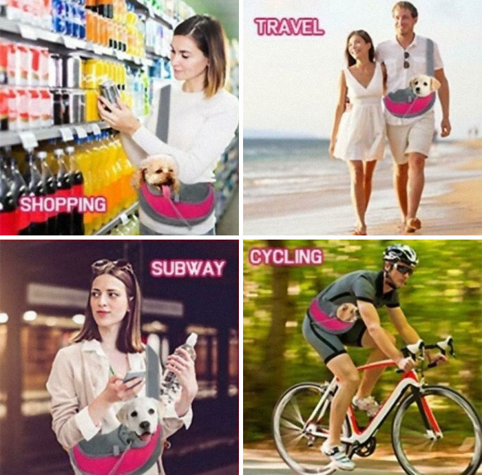 My Friend Spotted This Gem While Looking At Pet Stuff On Wish