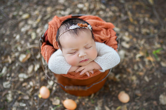 I Held A Newborn Photoshoot On A Family Farm With The Farm Animals, And Here Are The Results (6 Pics)