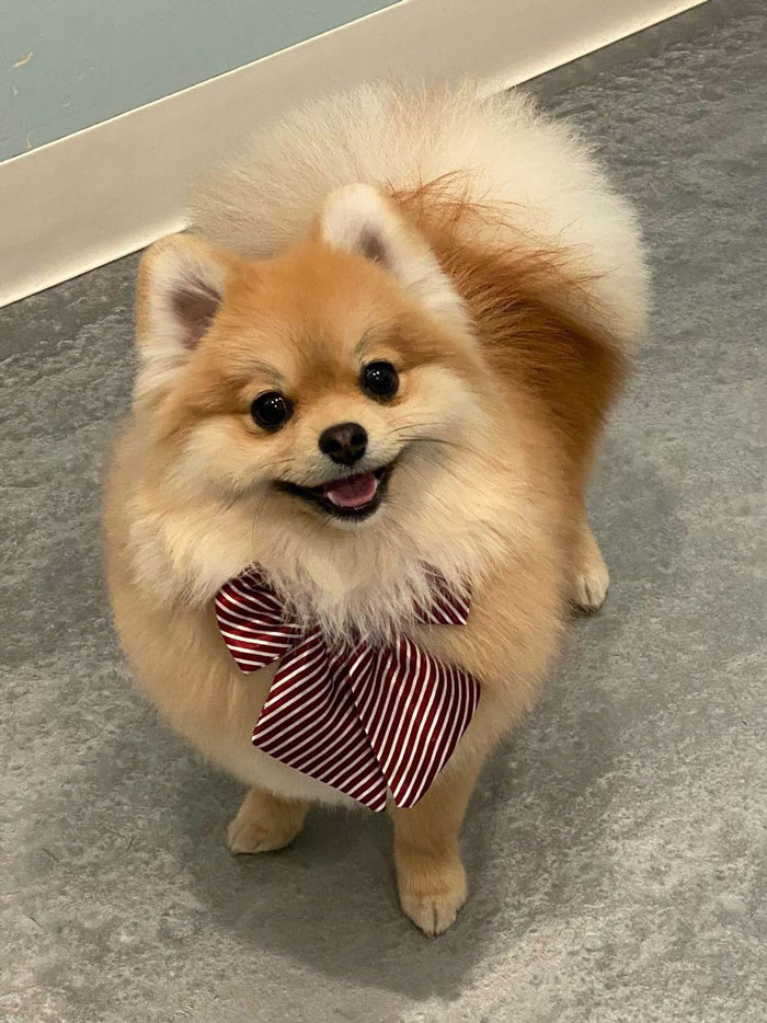 Looking Like A 70s Secretary