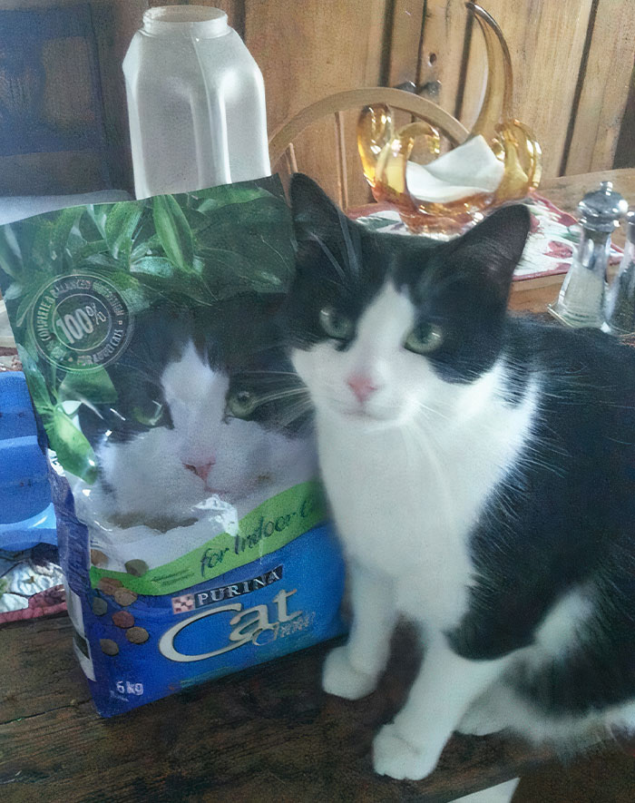 My Cat Looks Just Like The One On His Food Bag
