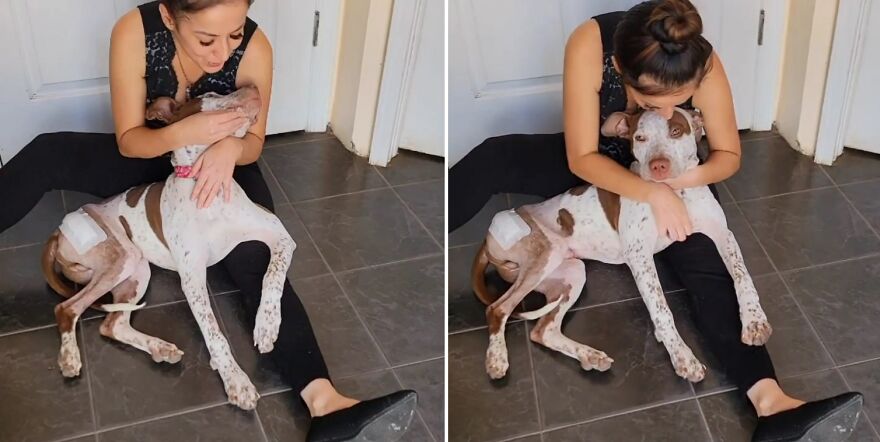 Abandoned Puppy Gets Another Chance At Happiness When Loving People Take Him Into Their Care