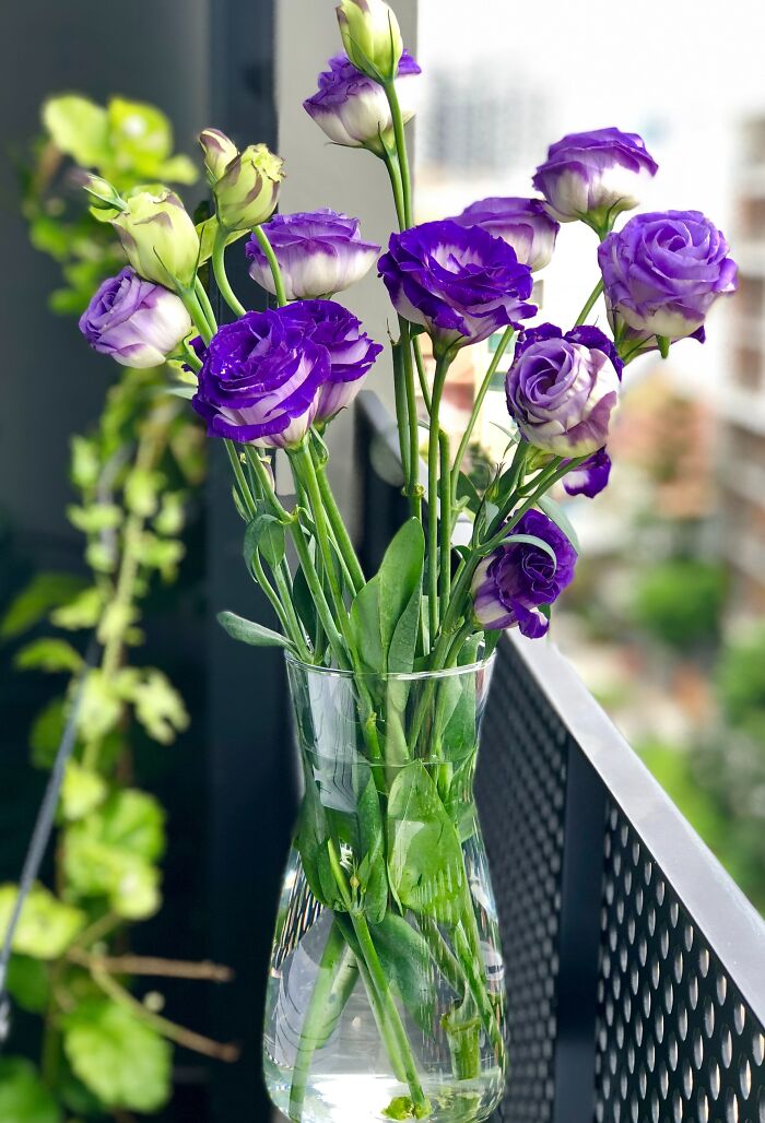 Pretty Purple Flowers In A Vase 