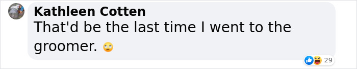 “He Had One Job!”: Husband Goes To Groomers, Comes Home With The Wrong Dog “He Had One Job!”: Husband Goes To Groomers, Comes Home With The Wrong Dog