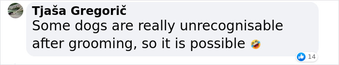 “He Had One Job!”: Husband Goes To Groomers, Comes Home With The Wrong Dog “He Had One Job!”: Husband Goes To Groomers, Comes Home With The Wrong Dog