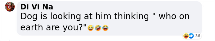 “He Had One Job!”: Husband Goes To Groomers, Comes Home With The Wrong Dog “He Had One Job!”: Husband Goes To Groomers, Comes Home With The Wrong Dog