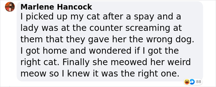“He Had One Job!”: Husband Goes To Groomers, Comes Home With The Wrong Dog “He Had One Job!”: Husband Goes To Groomers, Comes Home With The Wrong Dog