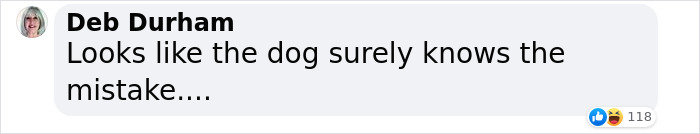 “He Had One Job!”: Husband Goes To Groomers, Comes Home With The Wrong Dog “He Had One Job!”: Husband Goes To Groomers, Comes Home With The Wrong Dog