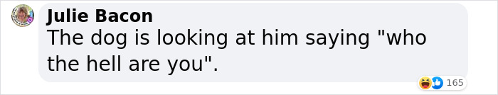 “He Had One Job!”: Husband Goes To Groomers, Comes Home With The Wrong Dog “He Had One Job!”: Husband Goes To Groomers, Comes Home With The Wrong Dog