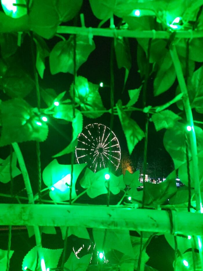 I Took These Photos Last Night When Walking Down The Street (14 Pics)