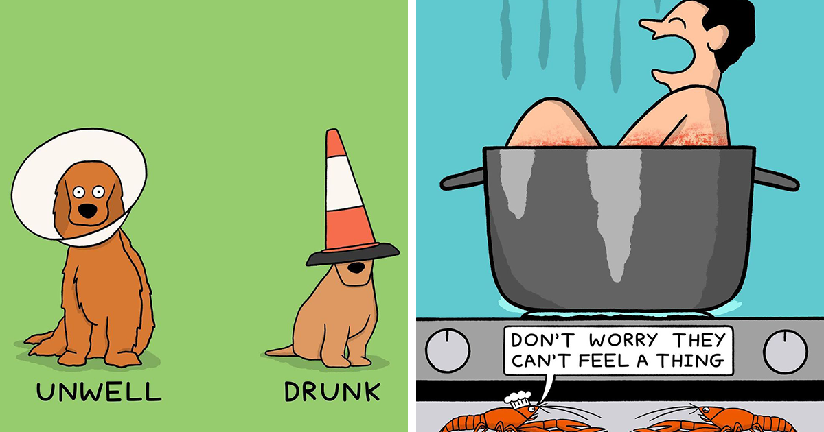 “My Sole Aim Is To Make People Laugh”: 35 Sarcasm-Filled Comics And