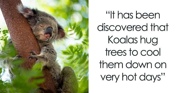 179 Science Facts That Are Deliciously Curious