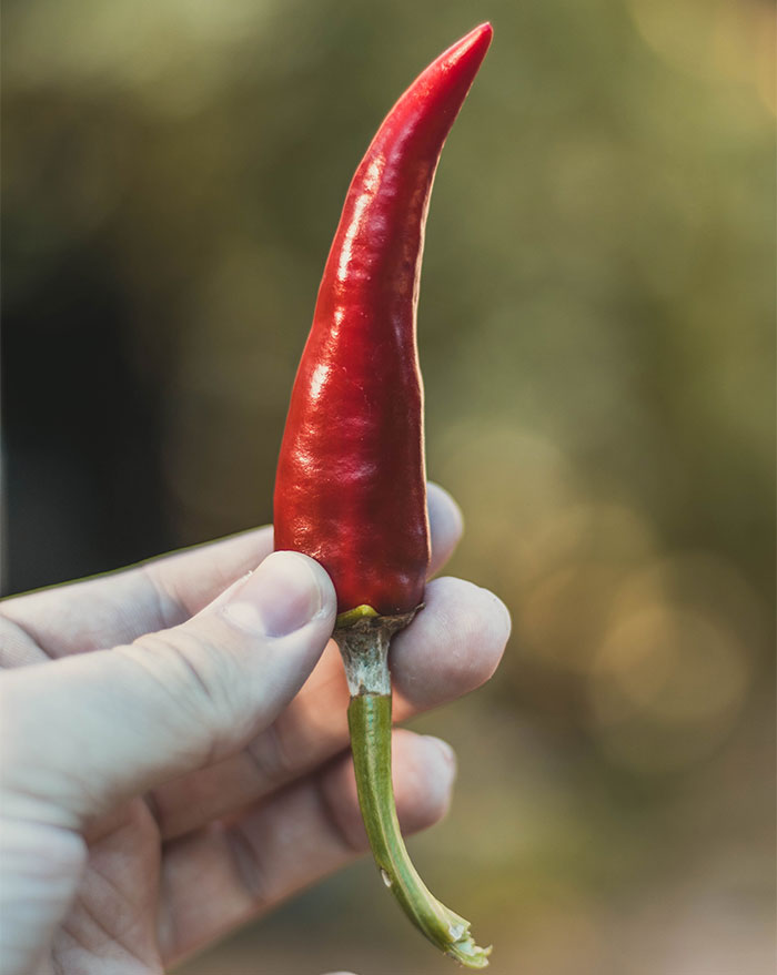 Restaurant Owner Gets Tired Of Overconfident Men, Develops A Tongue-Burning 'Culinary Monstrosity' To Shut Them Down Restaurant Owner Gets Tired Of Overconfident Men, Develops A Tongue-Burning 'Culinary Monstrosity' To Shut Them Down