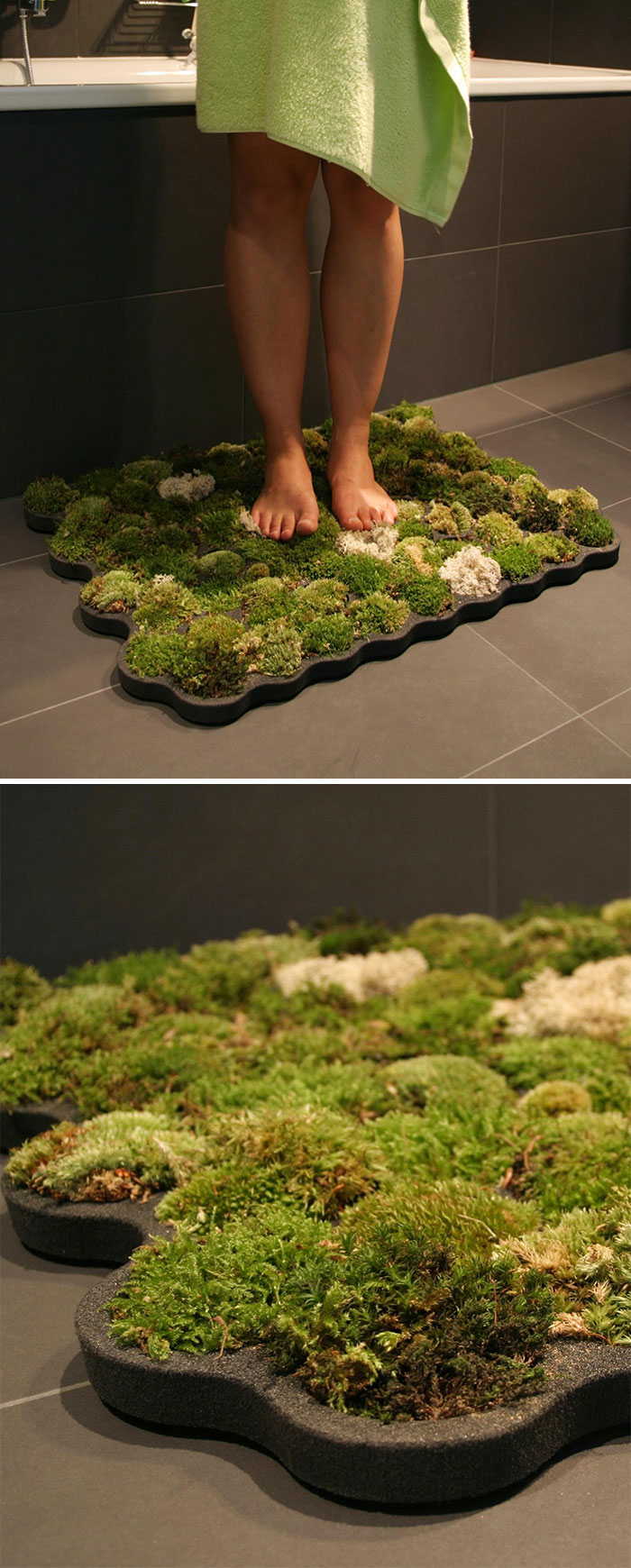Moss Carpet 