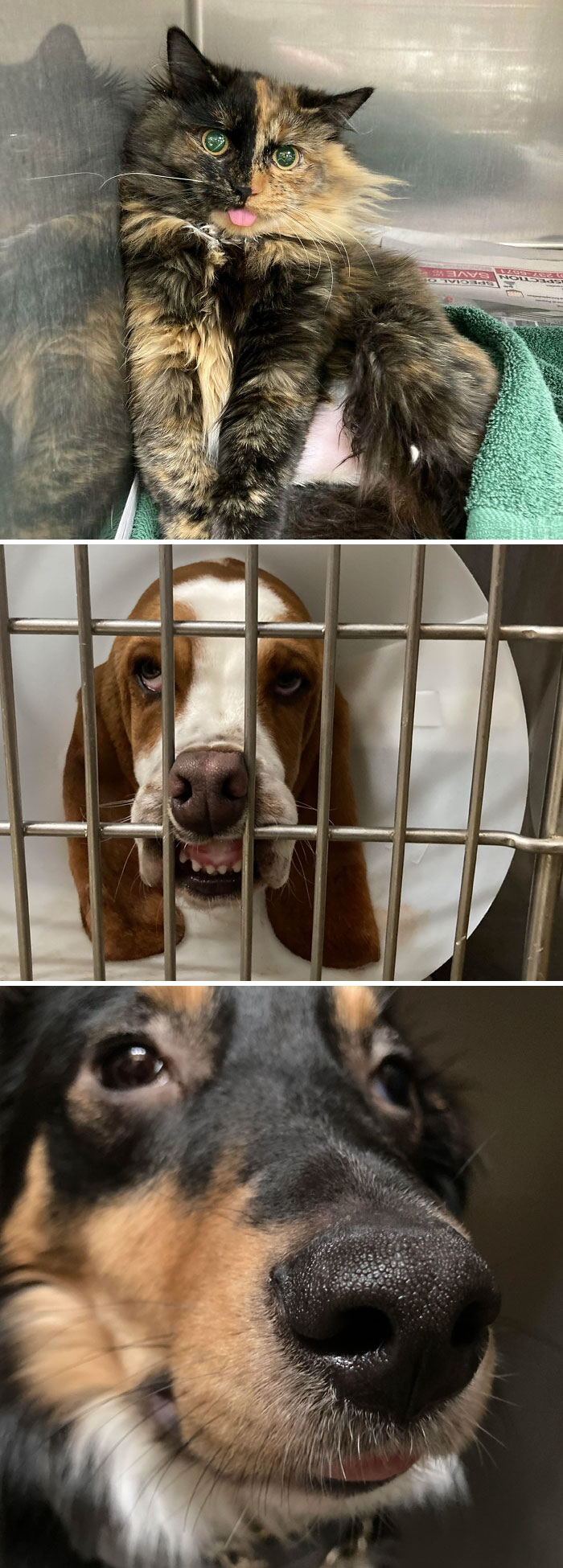 My Favorite Post-Anesthesia Faces