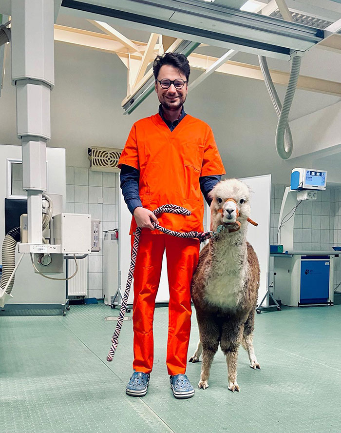 Orange Is The New Black, And Working With Alpacas Is Our Rehab