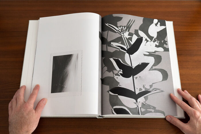 A Photo Book Following The Bride And Her Mother Making A Wedding Dress (33 Pics) A Photo Book Following The Bride And Her Mother Making A Wedding Dress (33 Pics)