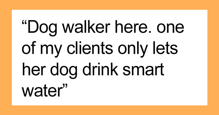 People Who Work For Or Interact With The Rich Describe The Weirdest Things They’ve Seen Behind Closed Doors (30 Stories)