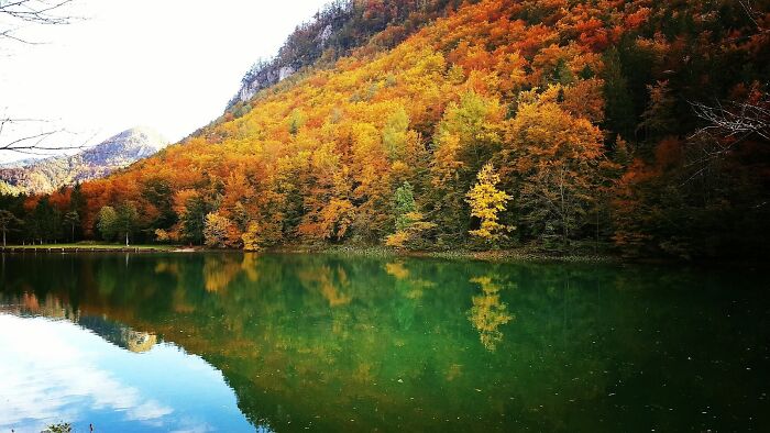 The Colors Of Autumn On Lake Završnica, Slovenia