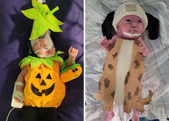 Neonatal Intensive Care Units In Illinois And Indiana Celebrate Halloween By Dressing Up The Little Ones In Adorable Costumes