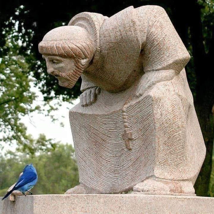 What An Amazing Photo! The Blue Bird, Beside The Sculpture Bird, Looking At San Francisco As Intently As If He Actually Heard It