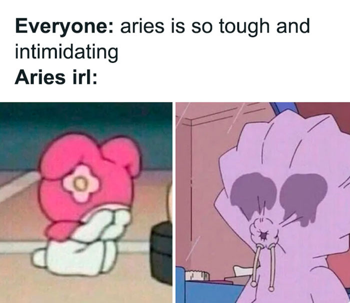 Aries looking tough and intimidating vs. Aries in real life meme