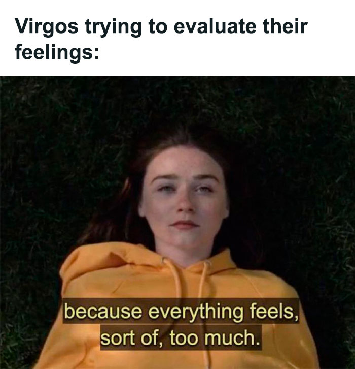 Virgos trying to evaluate their feelings meme