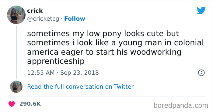 Tweet about pony hairdress