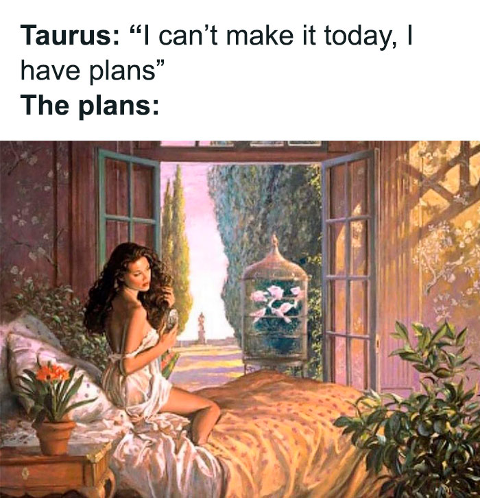 Taurus saying they have plans and can't make it today although they don't have any plans meme
