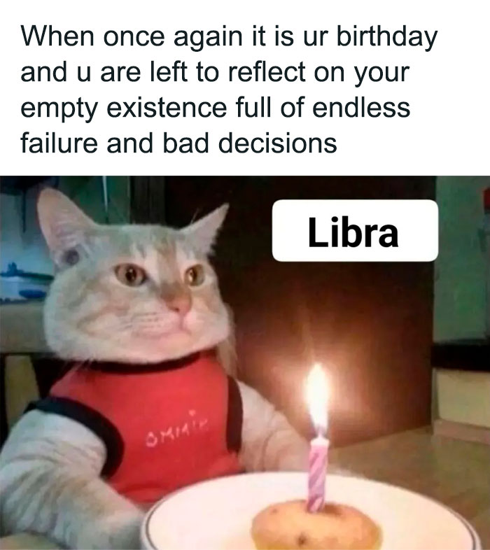 Libra on their birthday cat with cupcake meme 