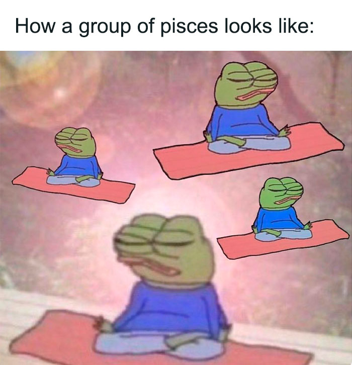 How a group of Pisces looks like meme