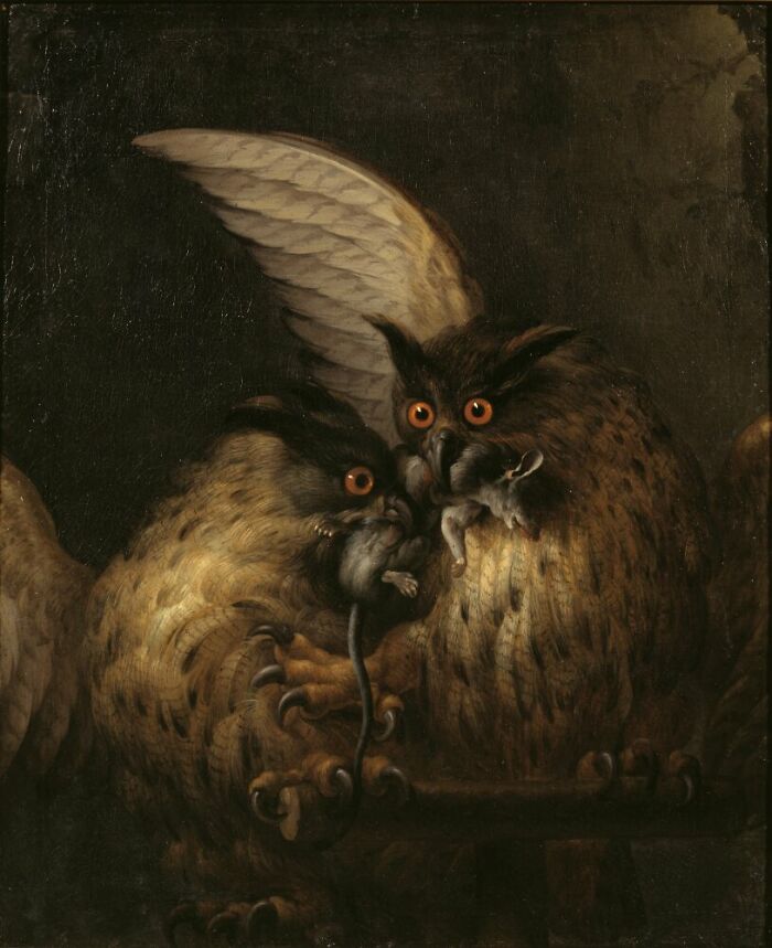 Two Owls Fighting Over A Rat (1713) By Hans Georg Müller