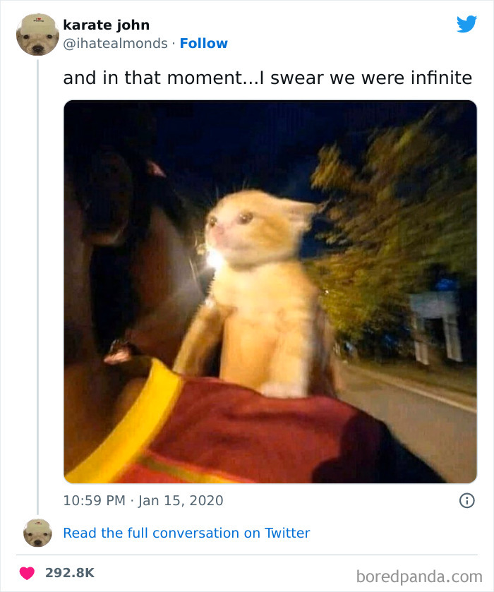 Funniest Tweets Of All Time