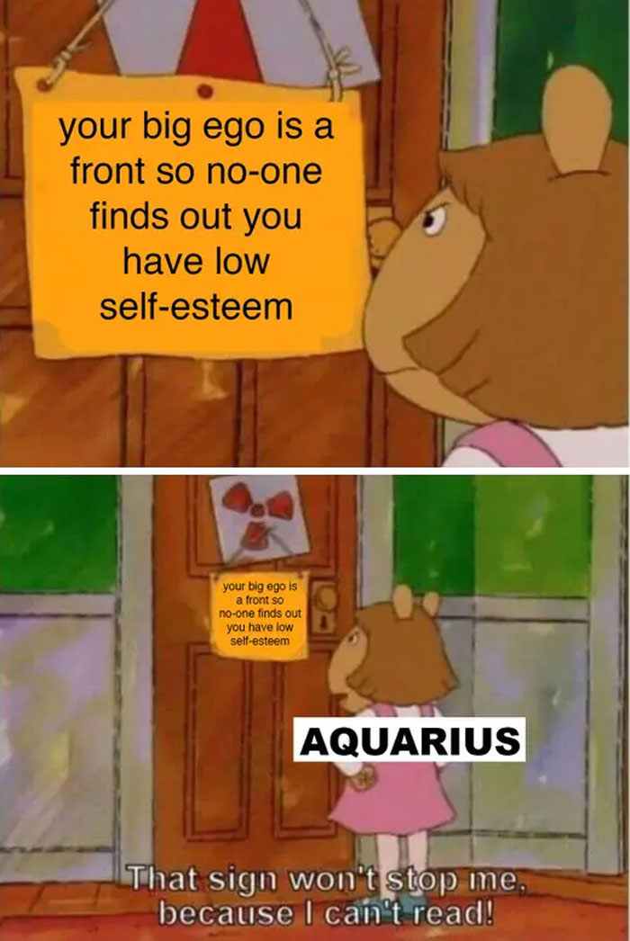 Aquarius big ego in front so no one finds out they have low self esteem meme