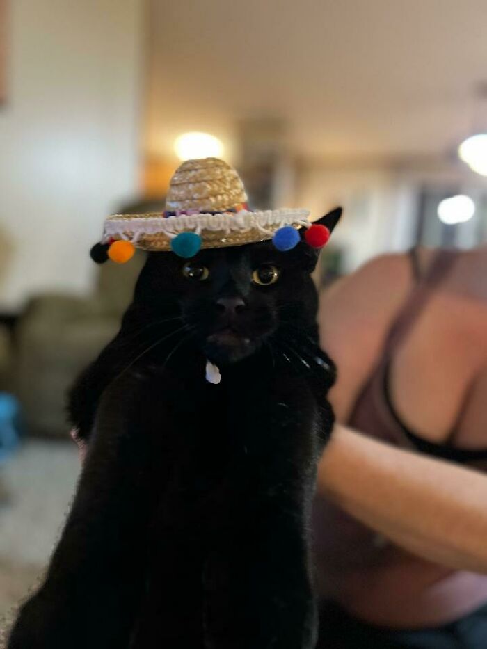 Im Jinx... I'l Be Your Host This Evening